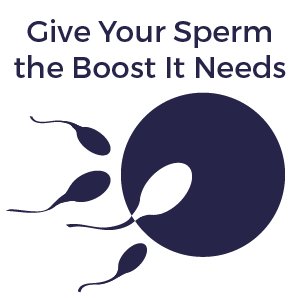 fertilaidmen-spermboost (1)